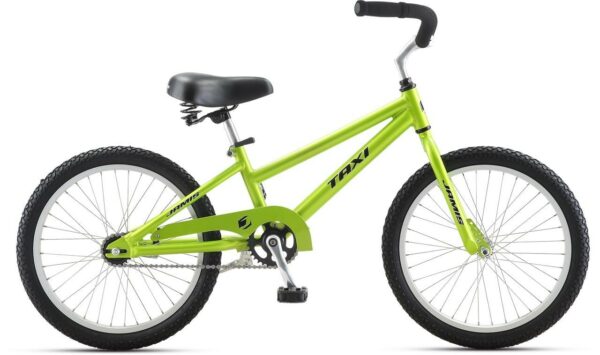 20" Taxi Bike